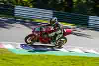 cadwell-no-limits-trackday;cadwell-park;cadwell-park-photographs;cadwell-trackday-photographs;enduro-digital-images;event-digital-images;eventdigitalimages;no-limits-trackdays;peter-wileman-photography;racing-digital-images;trackday-digital-images;trackday-photos